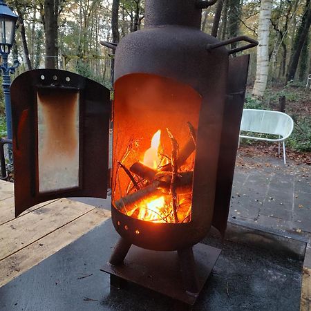 Chalet Met Veranda Aan Bosrand Vledder 外观 照片