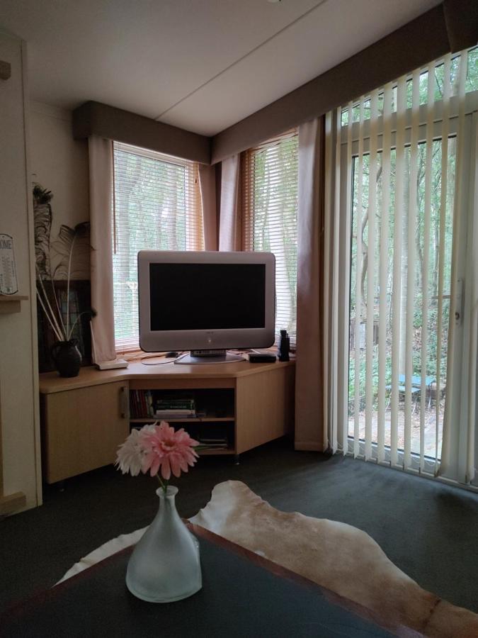 Chalet Met Veranda Aan Bosrand Vledder 外观 照片