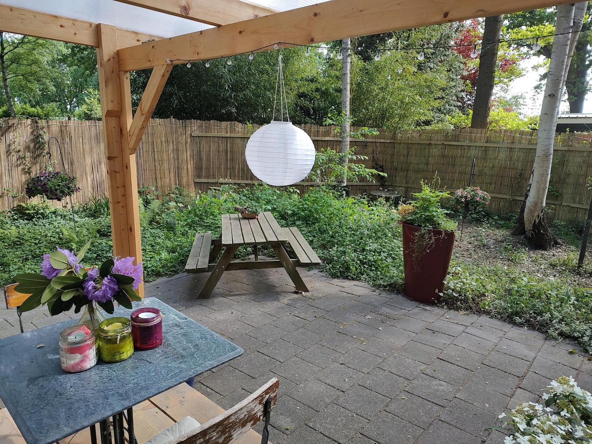 Chalet Met Veranda Aan Bosrand Vledder 外观 照片
