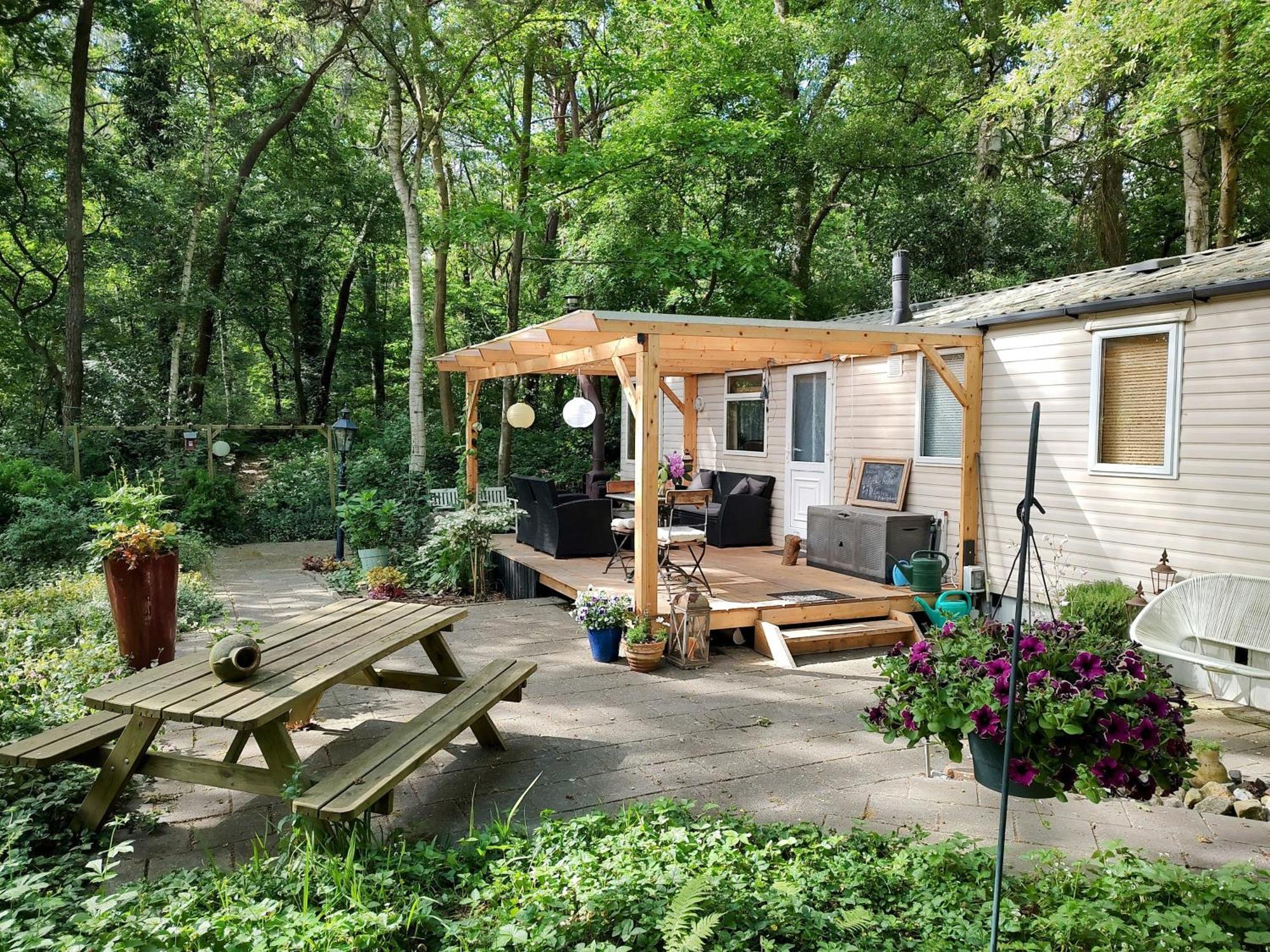 Chalet Met Veranda Aan Bosrand Vledder 外观 照片