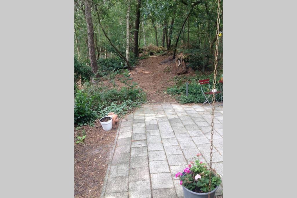 Chalet Met Veranda Aan Bosrand Vledder 外观 照片